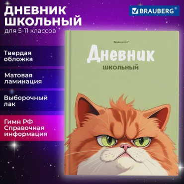 Дневник 5-11 класс 48 л., твердый, BRAUBERG, выборочный лак, с подсказом, "Суровый Кот", 107196